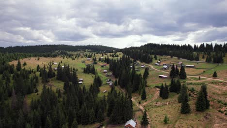 Aerial-panning-of-countryside-house-on-alpine-plateau-with-pine-tree-forest