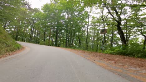 Driving-through-a-summer-forest-on-asphalt-road