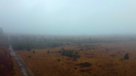 Rural-road-near-meadows-and-woodland-area-during-heavy-fog,-aerial-view