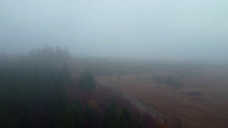 Silhouette-of-pine-tree-forest-covered-in-heavy-fog,-aerial-drone-view