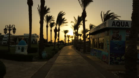 Hintergrundbeleuchtung-Goldener-Sonnenaufgangsspaziergang,-Schöner-Morgen,-ägyptischer-Gelber-Himmel,-Wegspaziergang-Durch-Die-Palmenstraße,-Touristisches-Urlaubsziel-Hurghada,-60-Fps