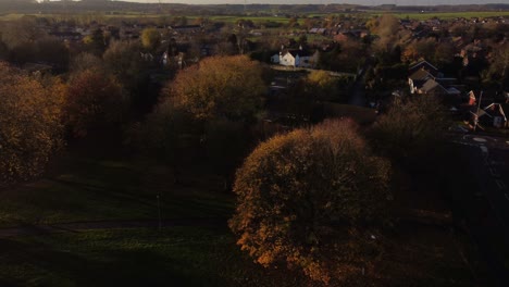 Glowing-autumn-trees-with-long-shadows-in-English-countryside-village-aerial-view