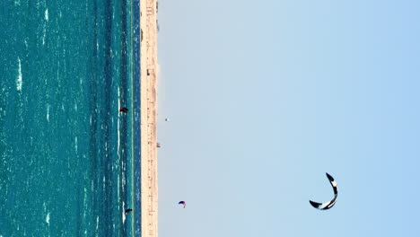 Vertical-Video,-Sportsmen-Windsurfing-in-Egypt,-Warm-Day-on-the-Clean-Beach,-Touristic-City-of-Hurghada,-60-Fps