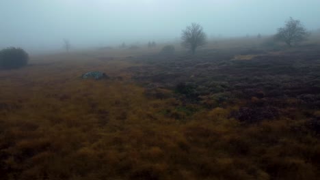 Thick-fog-above-meadow-landscape,-aerial-drone-flying-side-view