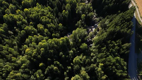 drone-flying-over-small-river-runing-trought-a-forest,-with-a-road-winding-between-the-forest-and-a-cornfield