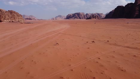 Kamelfamilie-Zu-Fuß-Durch-Die-Wüste-Wadi-Rum-In-Jordanien