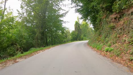 Roadtrip-Durch-Einen-Wald