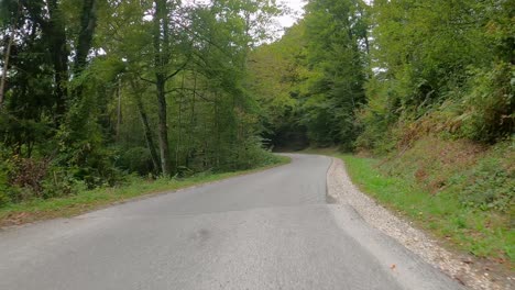 Autosicht-Fahren-Auf-Straße-Durch-Wald