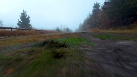 Dirt-road-near-forest-and-fields-on-foggy-day,-low-altitude-flying