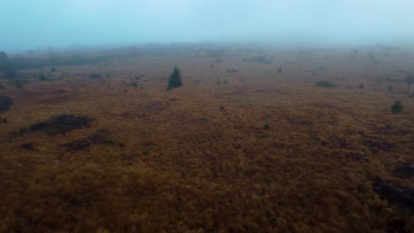 Endless-meadows-covered-in-thick-fog,-aerial-fly-away-view