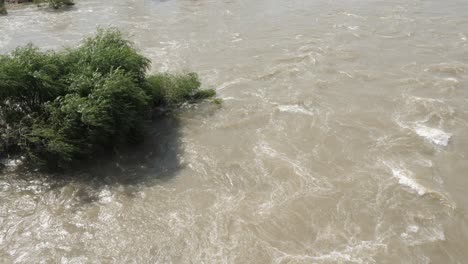 Fast-moving-spring-river-floods-shoreline,-submerging-trees-on-banks