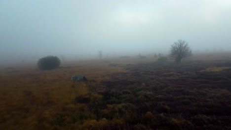 Thick-fog-above-meadow-landscape,-aerial-fly-backward-view