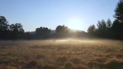 Drone-footage-of-a-foggy-morning-sunrise