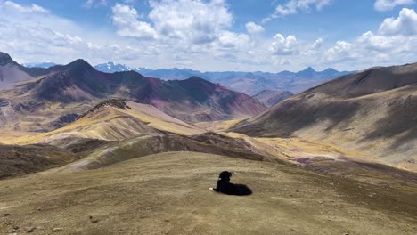 Un-Perro-Se-Sienta-Y-Ve-Las-Increíbles-Y-Coloridas-Montañas-De-Los-Andes
