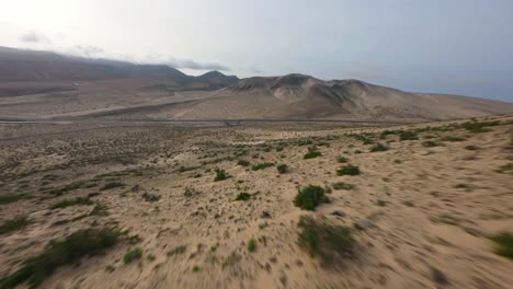 Fuerteventura-Fpv-Wüste-Gebirgstauchgang-Mit-Grünen-Büschen-Blauer-Himmel-Abendstunden-Slowmotion-50fps