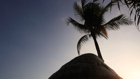 Strand-Kokospalmen-In-Der-Sonnenuntergangszeit-Mit-Blauem-Himmel-Auf-Bali