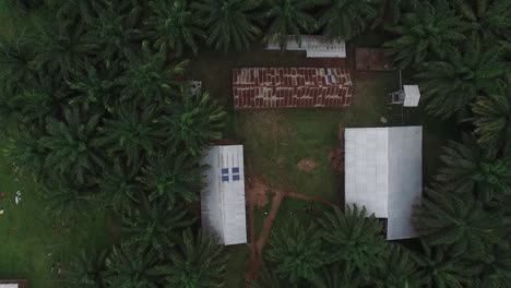 Drone-footage-as-it-descends-over-a-house-in-the-middle-of-the-green-forest-of-Cameroon