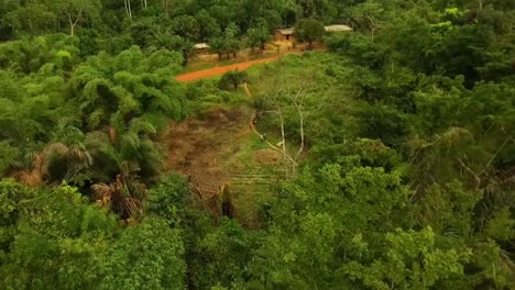 African-man-flying-his-drone-backwards-through-the-forest,-passing-by-branches-and-rainforest-trees,-on-a-cloudy-day,-in-Nanga-Eboko,-Haute-Sanaga,-Southern-Cameroon