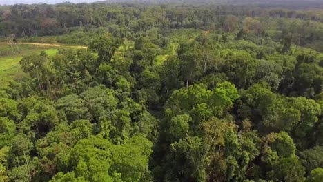 Aerial-drone-view-over-green-rainforest-trees-and-a-small-sand-road,-on-a-cloudy-day,-in-Nanga-Eboko-forest,-Haute-Sanaga,-Southern-Cameroon