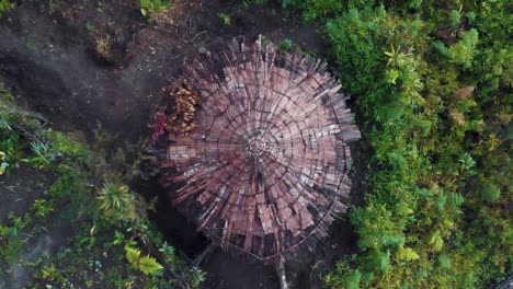 Stunning-aerial-footage-of-authentic-Papuan-huts,-located-high-in-the-mountains-of-Papua,-Indonesia