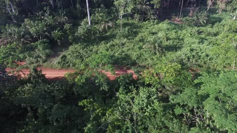 Drone-flying-into-the-forest-as-a-white-jeep-drives-along-the-dirt-road