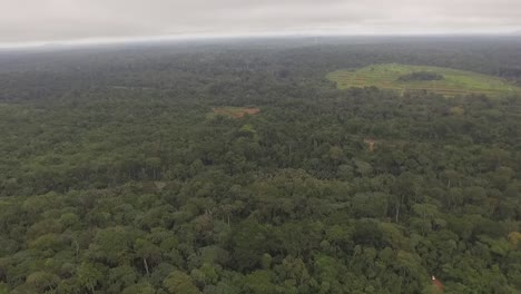 Ein-Großer-Teil-Des-Nanga-Waldes-Ist-In-Dieser-Aufnahme-Zu-Sehen,-Während-Die-Drohne-Hoch-über-Dem-Wald-Fliegt