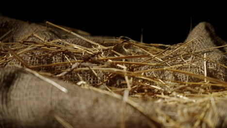 A-macro-shot-of-a-manger-with-hay-and-burlap