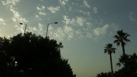 Shot-from-a-car,-passing-under-palm-trees-and-clouds-during-magic-hour-in-Athens