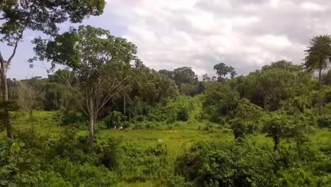 Aerial-drone-view-flying-through-the-forest,-in-a-african-rainforest,-on-a-cloudy-day,-in-Nanga-Eboko,-Haute-Sanaga,-Southern-Cameroon