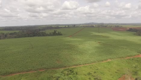 Flyover-of-farmlands-resulting-from-deforestation