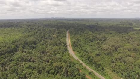 Flug-über-Den-Tropischen-Afrikanischen-Regenwald