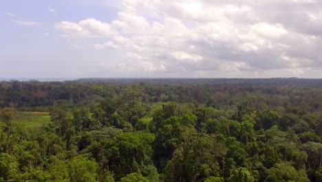 Drone-view-flying-backwards-above-endless-african-rainforest-or-jungle,-on-a-cloudy-day,-in-Nanga-Eboko-Forest,-Haute-Sanaga,-Southern-Cameroon
