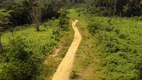 Aerial-drone-view-rising-over-a-small-sand-road-and-revealing-the-Jungle,-on-a-sunny-day,-in-Nanga-Eboko-forest,-Haute-Sanaga,-Southern-Cameroon