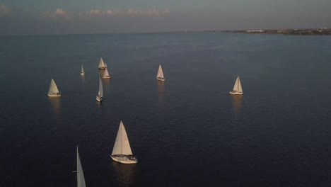 A-TON-OF-SAILBOATS-IN-THE-LAKE