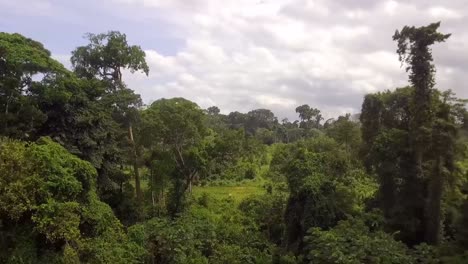 Aerial-drone-view-flying-backwards-through-trees,-in-african-jungle,-on-a-cloudy-day,-in-Nanga-Eboko-Forest,-Haute-Sanaga,-Southern-Cameroon