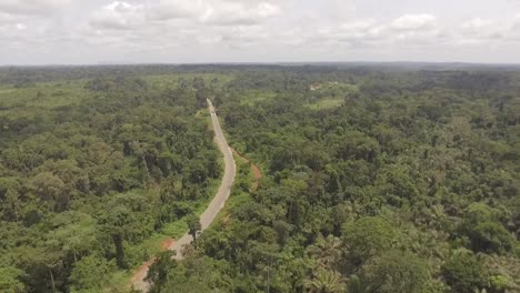 Überblick-über-Den-Tropischen-Afrikanischen-Regenwald