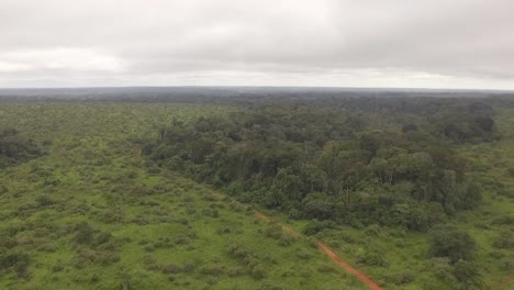 Drone-Volando-Sobre-El-Bosque-Nanga-Donde-Se-Pueden-Ver-Muchos-árboles-Debajo