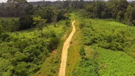 Aerial-descending-drone-view-towards-a-small-sand-road,-in-the-Jungle,-on-a-sunny-day,-in-Nanga-Eboko-forest,-Haute-Sanaga,-Southern-Cameroon