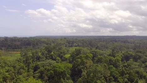 Aerial-drone-view-above-endless-african-Jungle,-on-a-cloudy-day,-in-Nanga-Eboko-Forest,-Haute-Sanaga,-Southern-Cameroon