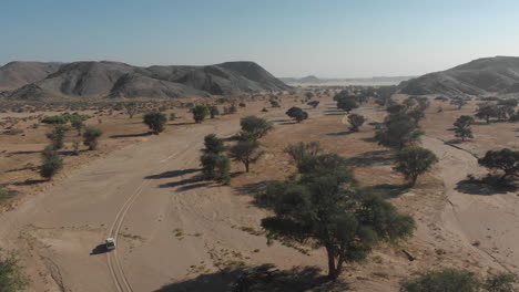 Aerial-following-off-road-truck-through-desert-scene