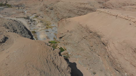 Aerial-passing-over-desert-creek-to-reveal-hidden-oasis