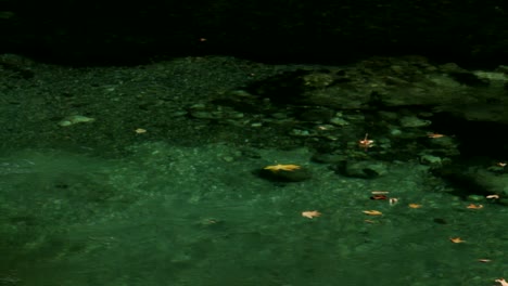 Blätter-Fließen-Auf-Dem-Kristallklaren-Wasser-Des-Flusses-Aoos-In-Griechenland