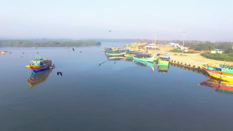 Drone-shot-in-a-fishing-harbour-showing-the-boats-and-a-group-of-crows-following-and-chasing-the-drone