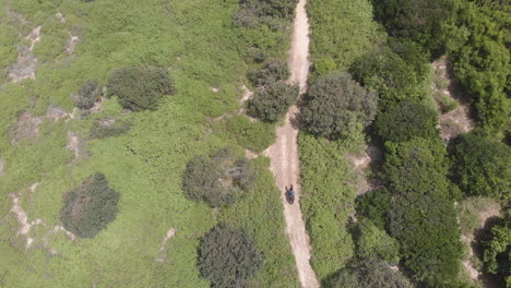 Aerial-top-down-shot-above-horse-rider-travelling-along-sunny-beach-trail