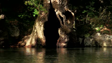 Der-Fluss-Aoos-Fließt-Vor-Einem-Hohlen-Baum