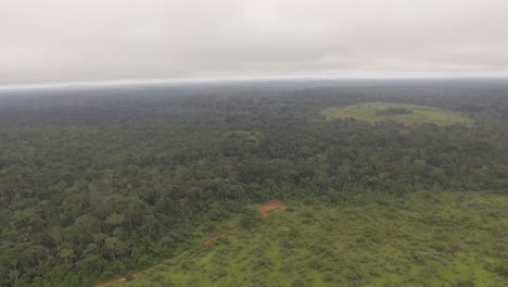 Flying-over-the-Nanga-forest,-large-empty-areas-can-be-seen-where-tree's-once-were
