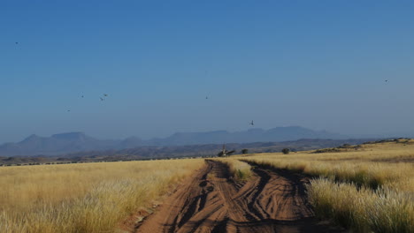 Driving-POV-along-dirt-road-with-birds-flying-in-front-view