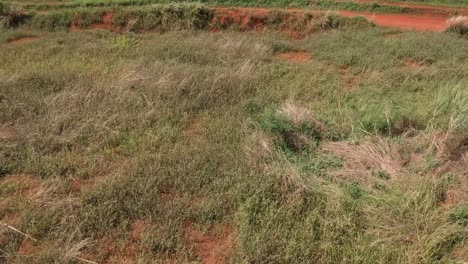 Drone-shot-of-dry-grassland-and-red-dirt