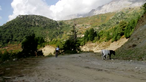 Two-wild-horses-crossing-a-dirt-road-while-a-cyclist-passes-them-by-quickly-for-a-mountain-bike-marathon-in-Tzoumerka-in-Greece
