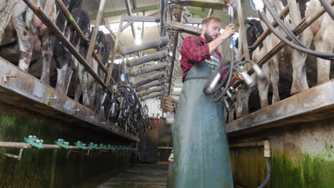 Workers-in-ditch-putting-suction-cups-on-milking-cattle